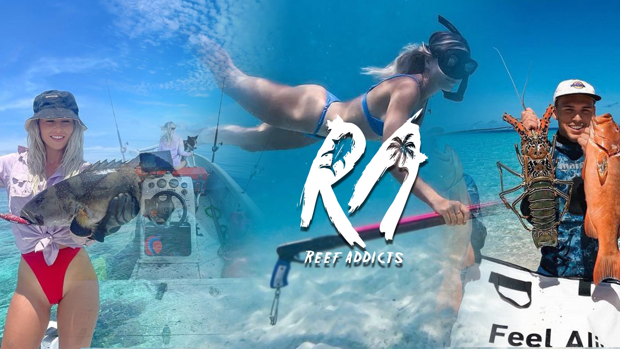 Reef Addicts